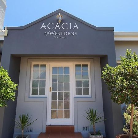 Acacia Westdene B&B Bloemfontein Ngoại thất bức ảnh