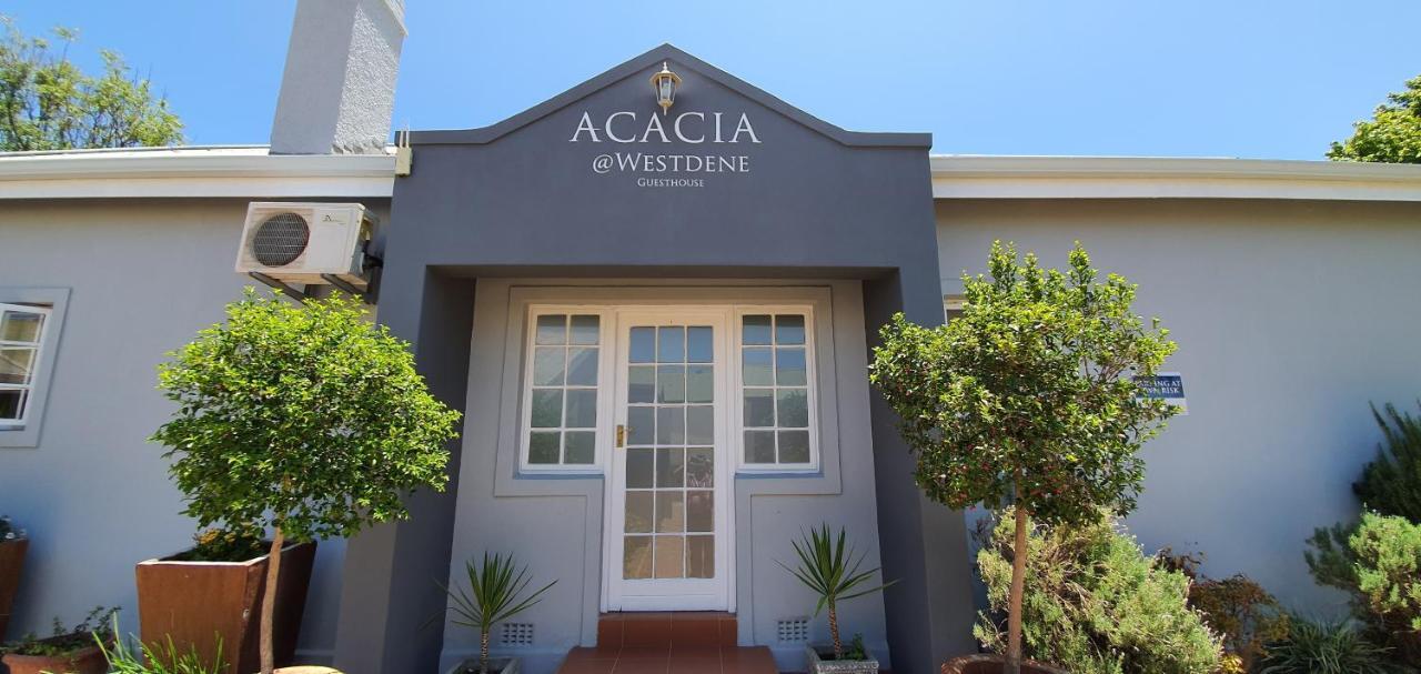 Acacia Westdene B&B Bloemfontein Ngoại thất bức ảnh